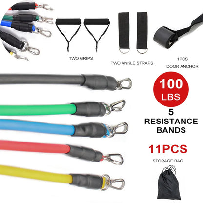 Kit bandes élastiques fitness équipement gymnastique - Wellness Fusion