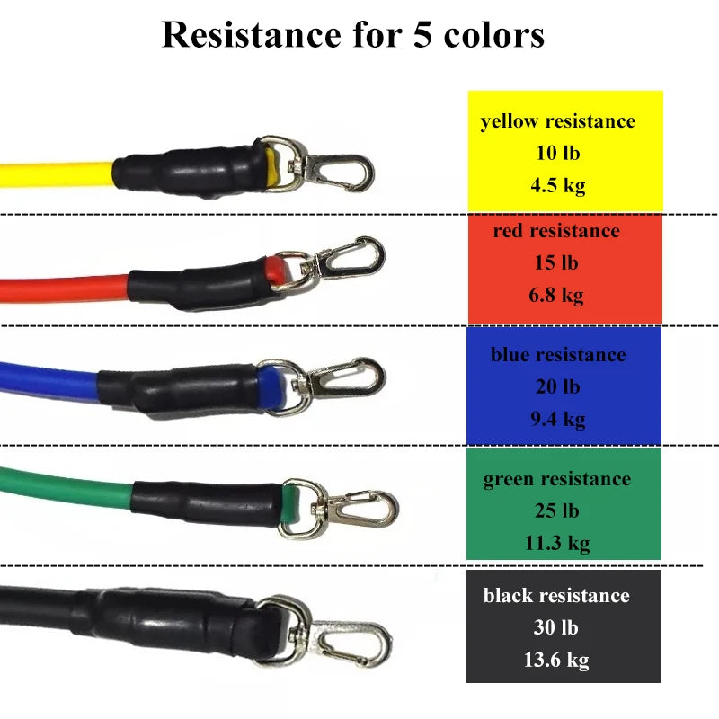 Kit bandes élastiques fitness équipement gymnastique - Wellness Fusion