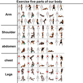 Kit bandes élastiques fitness équipement gymnastique - Wellness Fusion