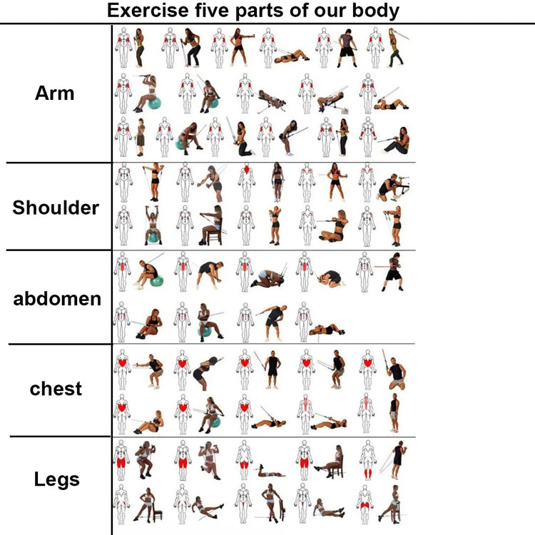 Kit bandes élastiques fitness équipement gymnastique - Wellness Fusion